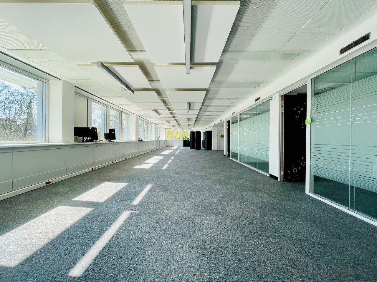 Bureau Strasbourg 2442m² Location bureau Strasbourg Bas-Rhin OLBUR2310518 10